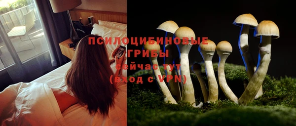 скорость Бугульма