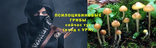 a pvp Богородск