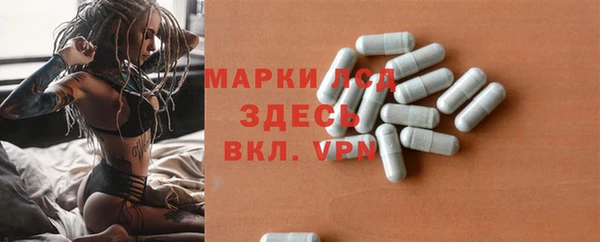 spice Бородино