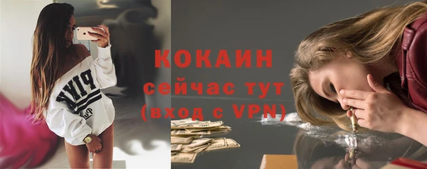 тгк Богородицк