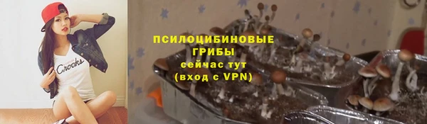 тгк Богородицк