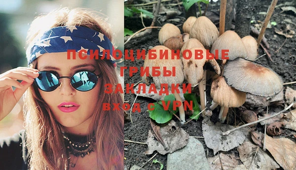 spice Бородино