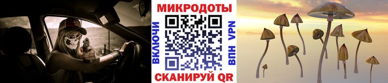 Галлюциногенные грибы GOLDEN TEACHER  OMG рабочий сайт  Катав-Ивановск 